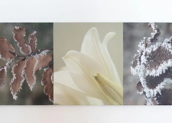 San Sebastiano 4 Appartamento *