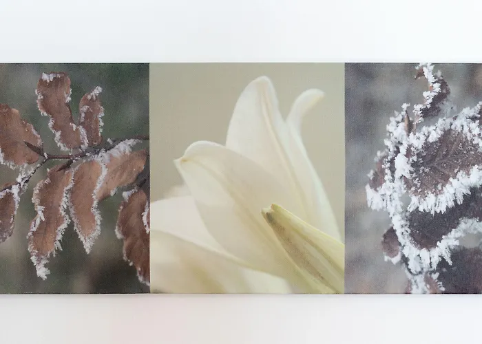 San Sebastiano 4 Apartment