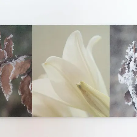 San Sebastiano 4 Апартаменты *